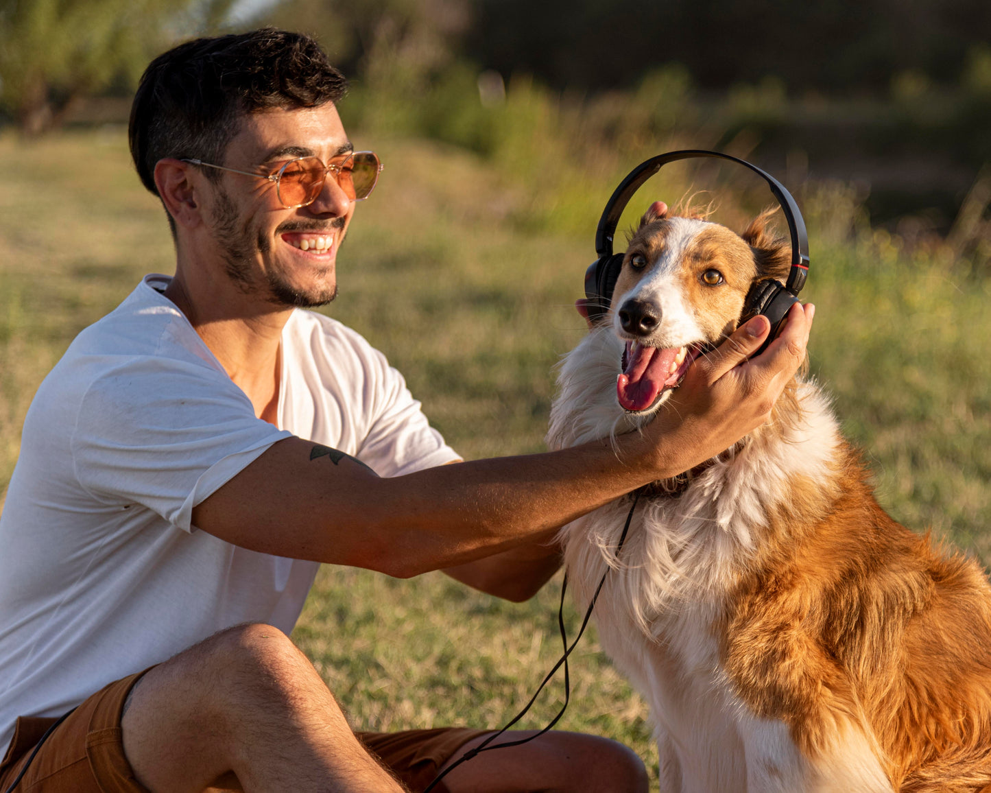 Blog-Beitrag von Markus Müller: Die Revolution der Hunde Ohrenpflege mit Baviette Micronimal 982