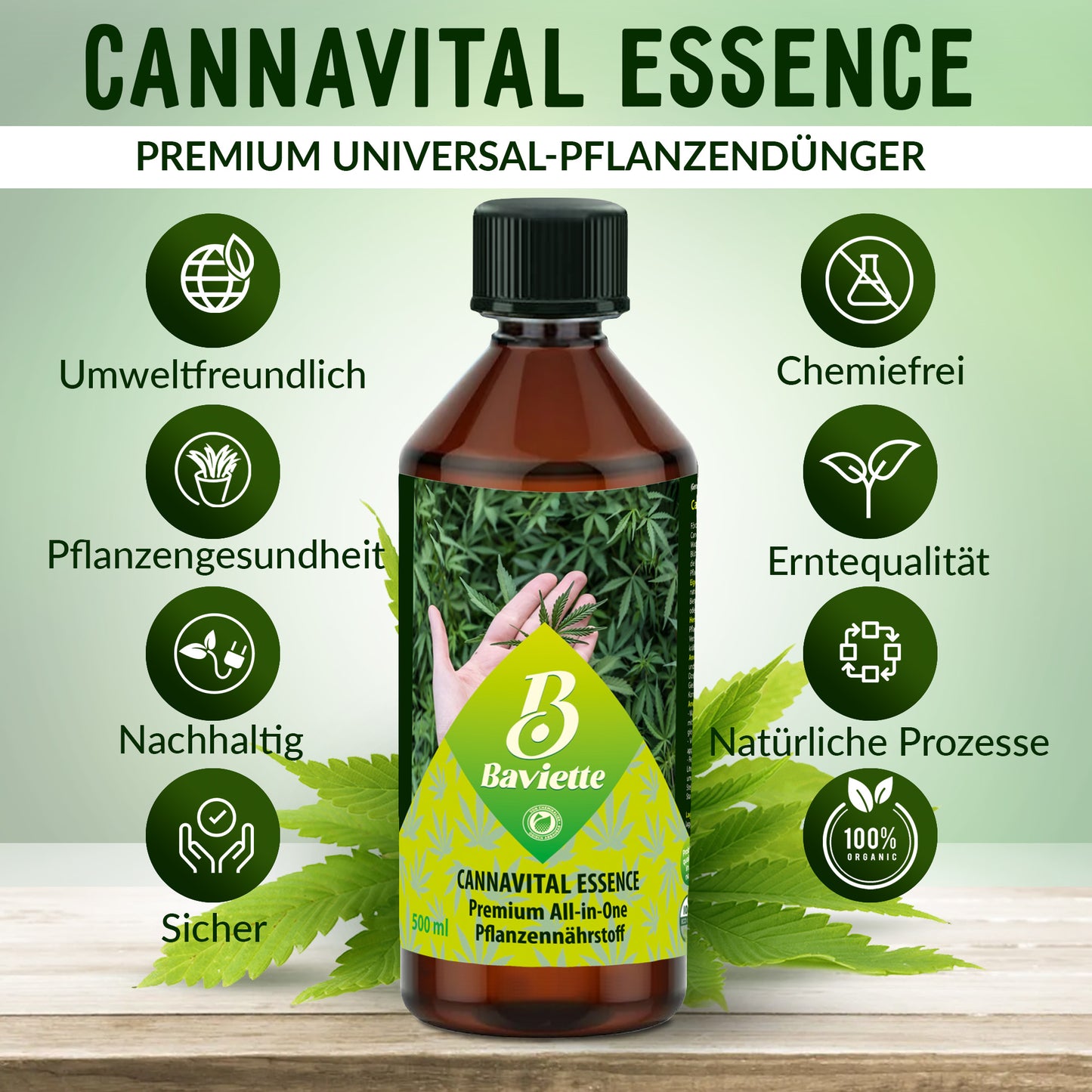 CannaVital Essence