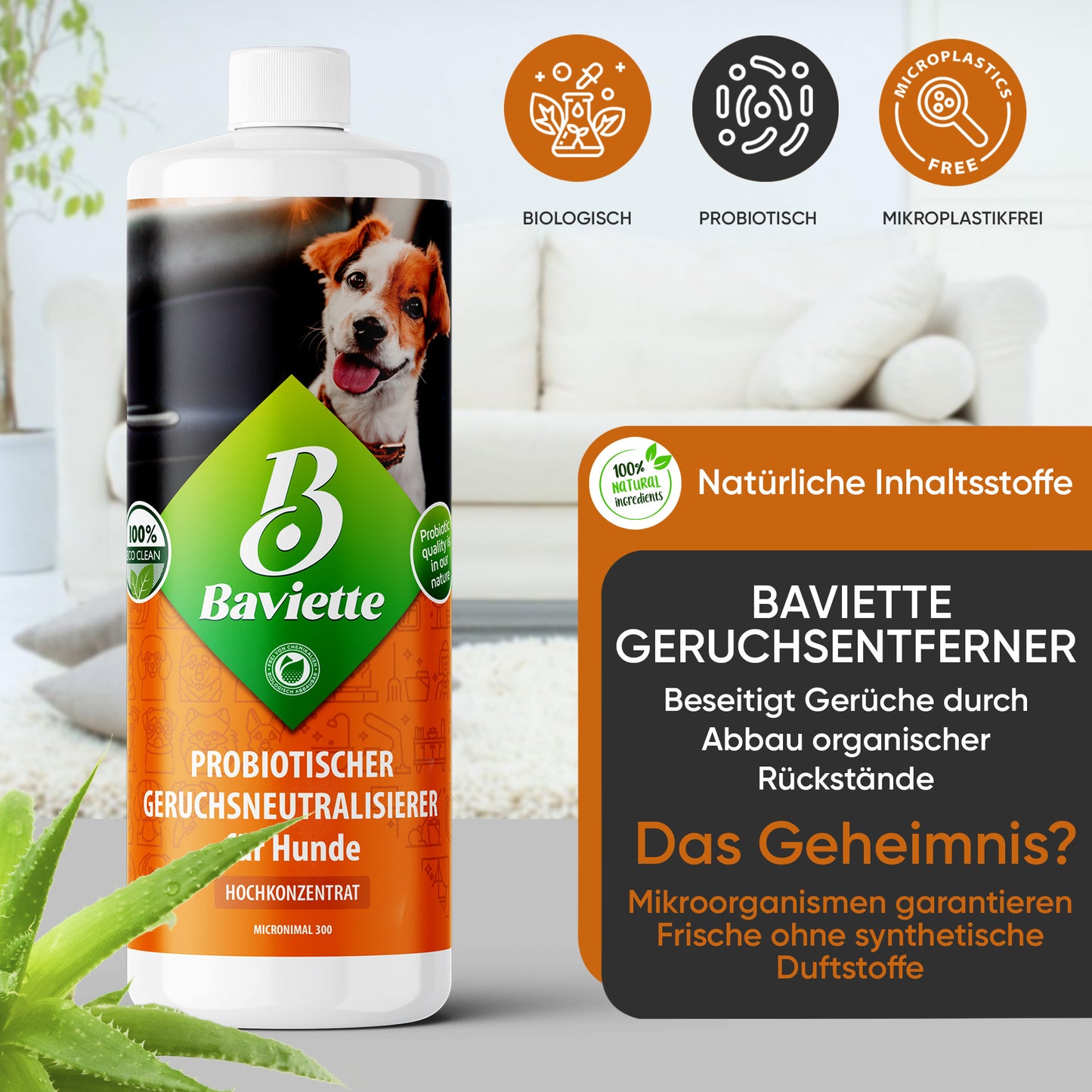 Geruchsentferner Konzentrat