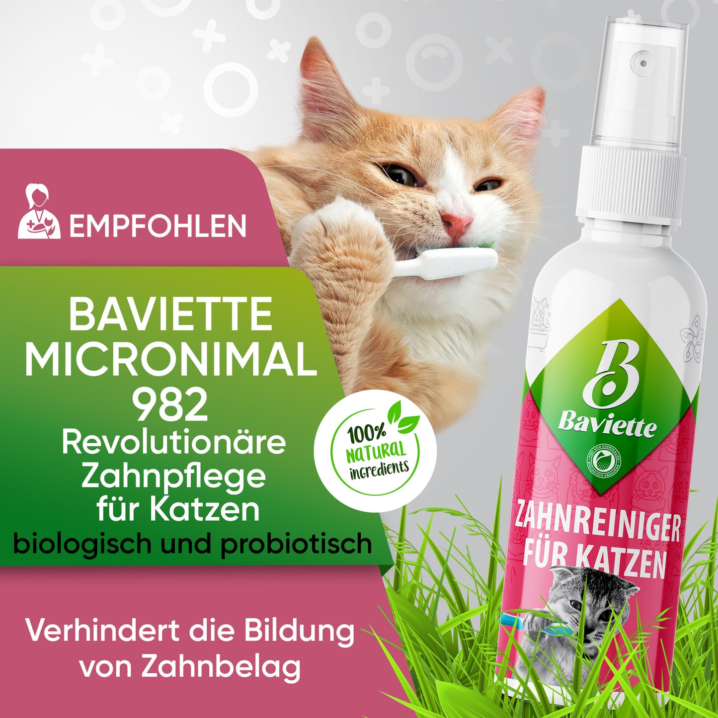 Zahnreiniger