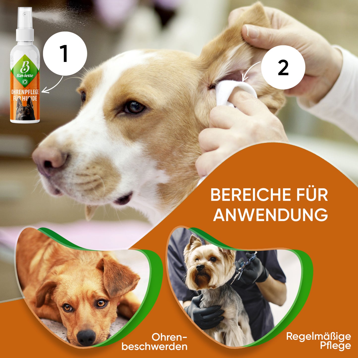 Ohrenreiniger