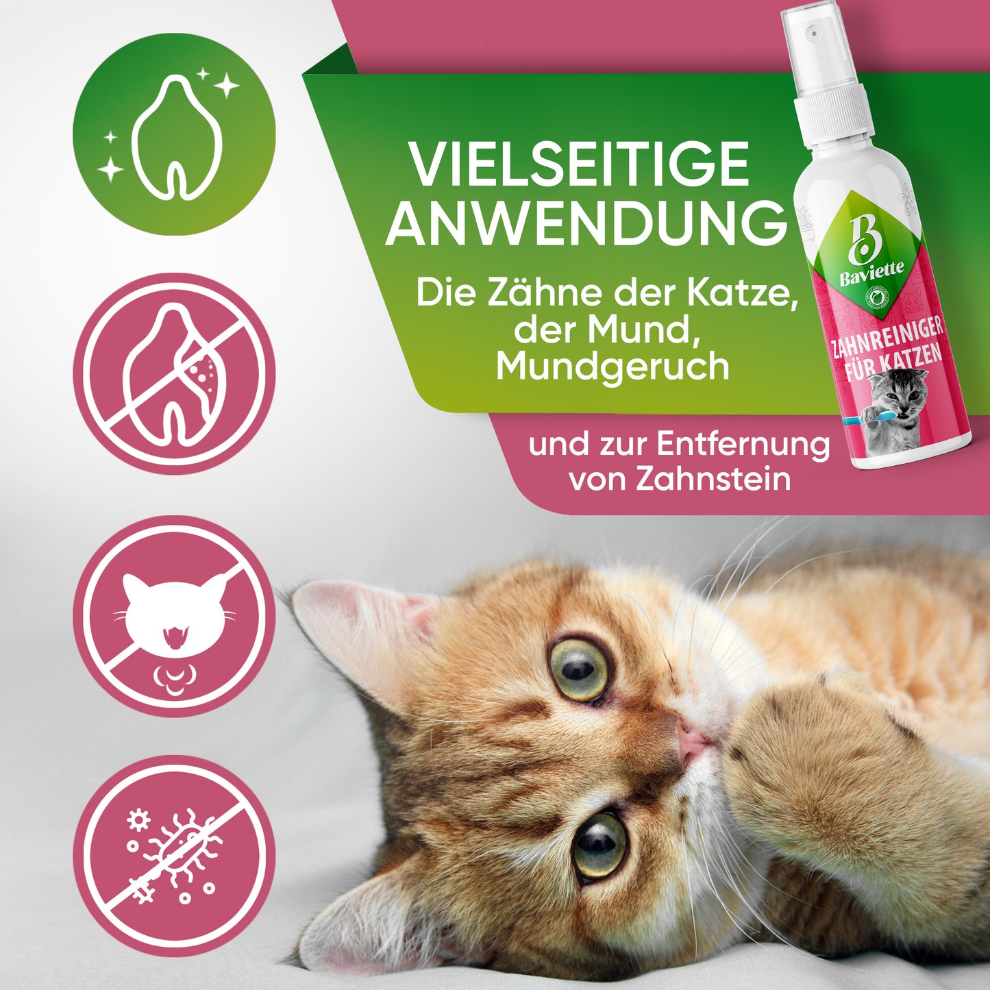 Zahnreiniger