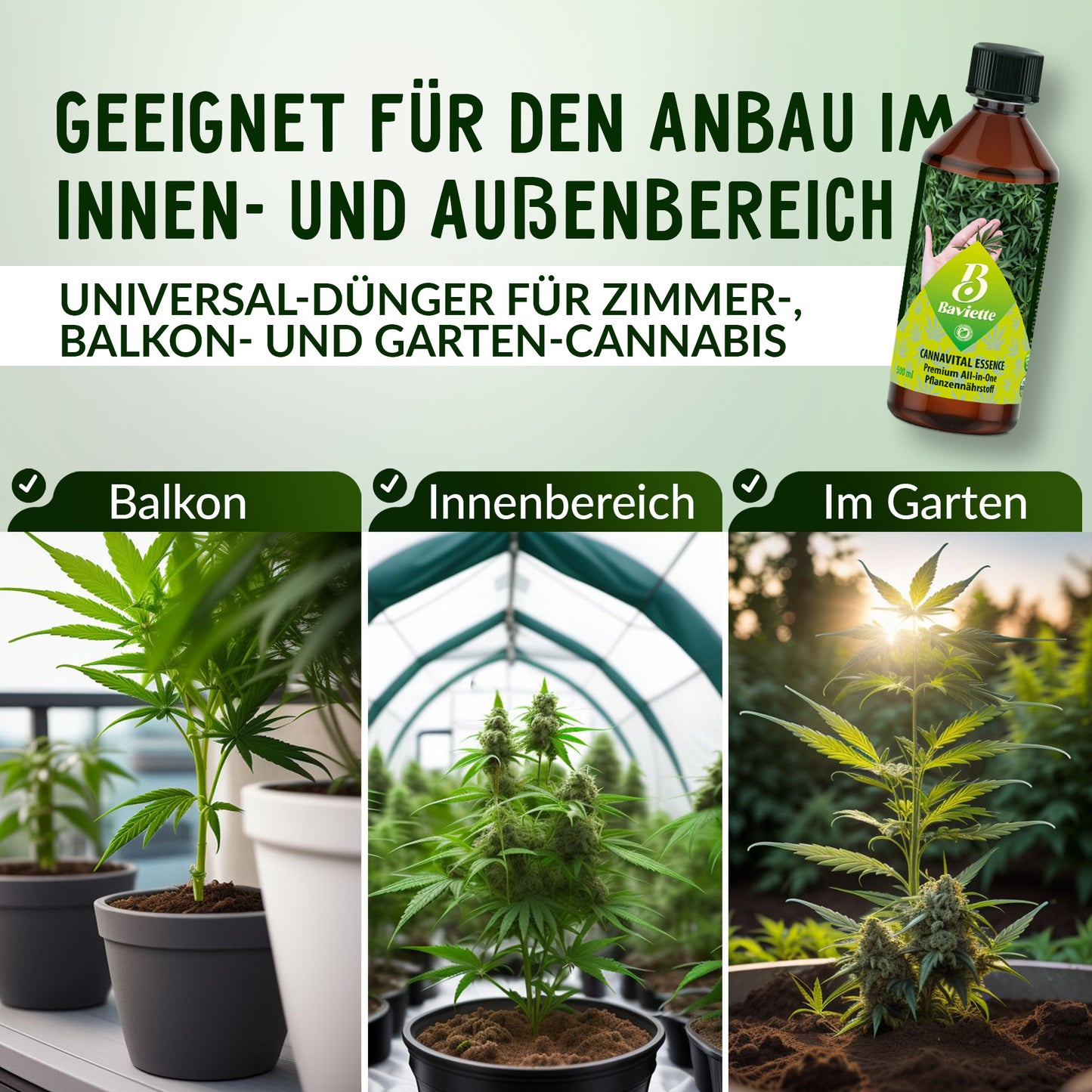 CannaVital Essence