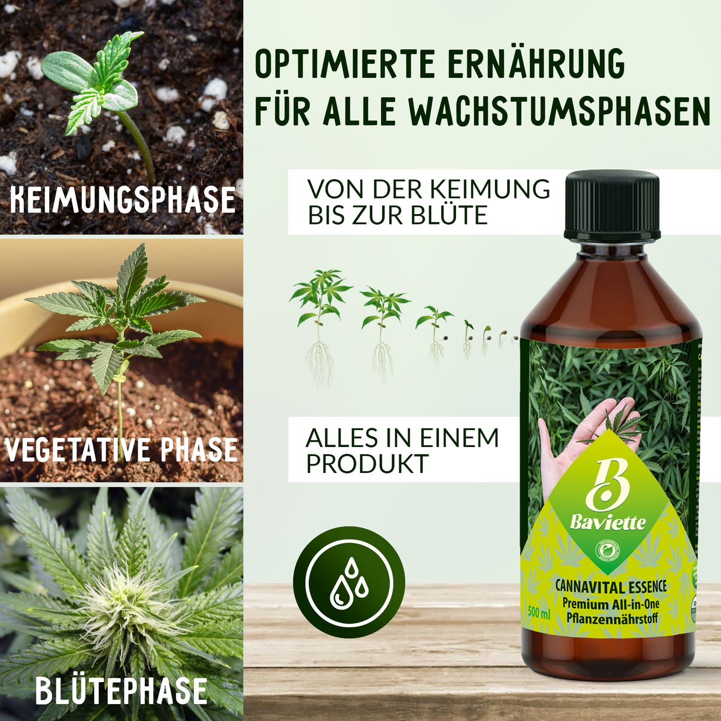 CannaVital Essence