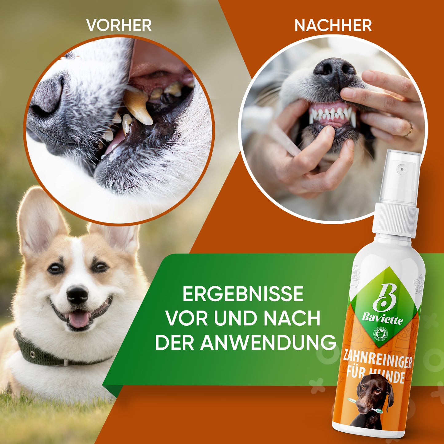 Zahnreiniger