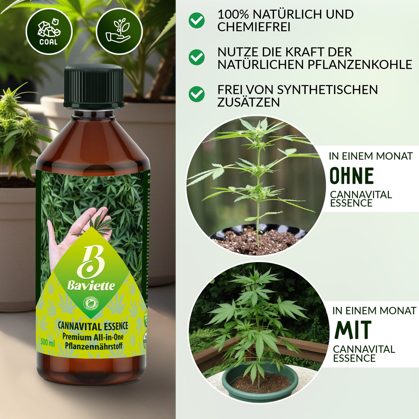 CannaVital Essence