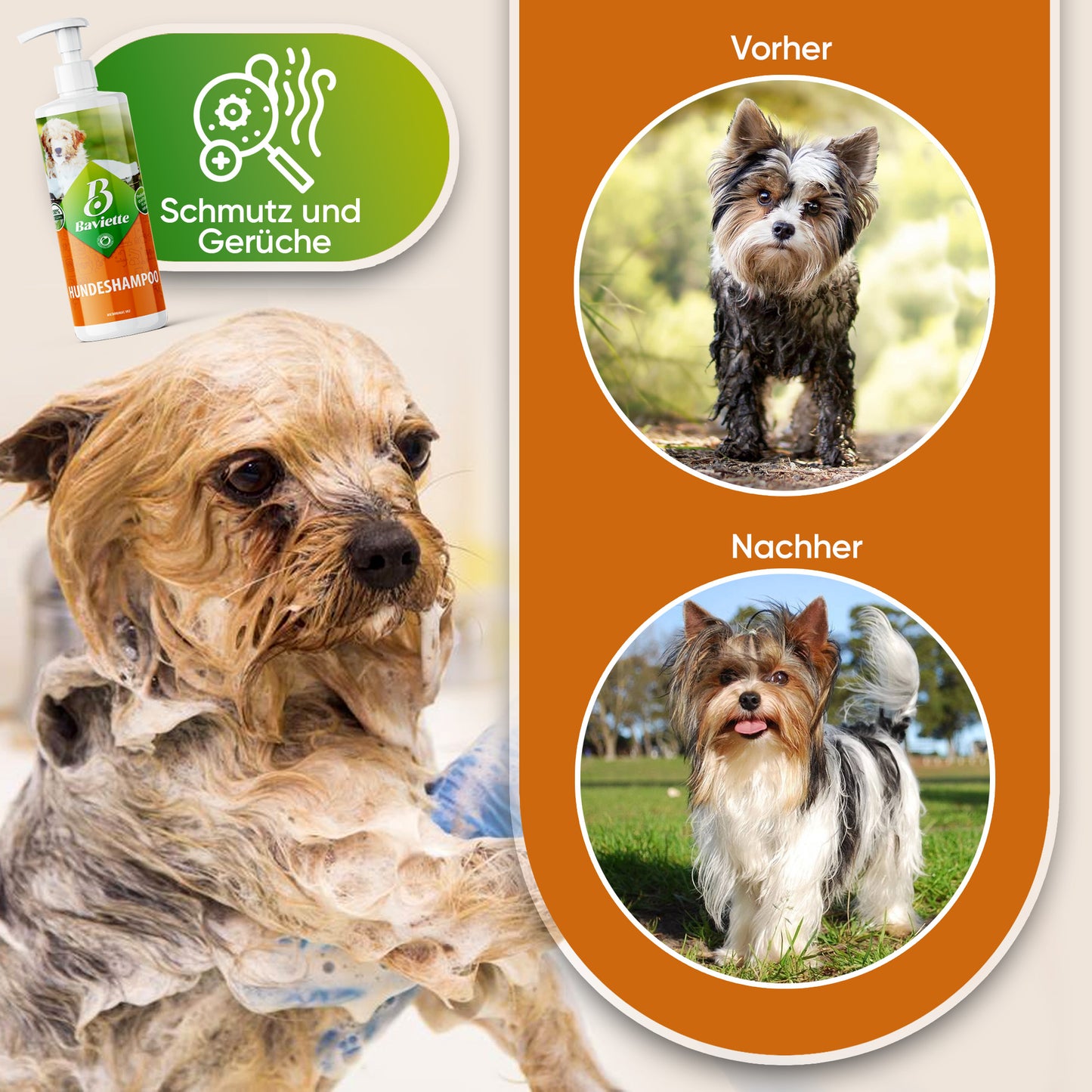 Hundeshampoo