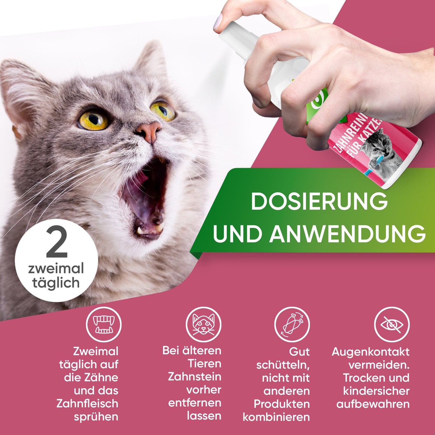 Zahnreiniger