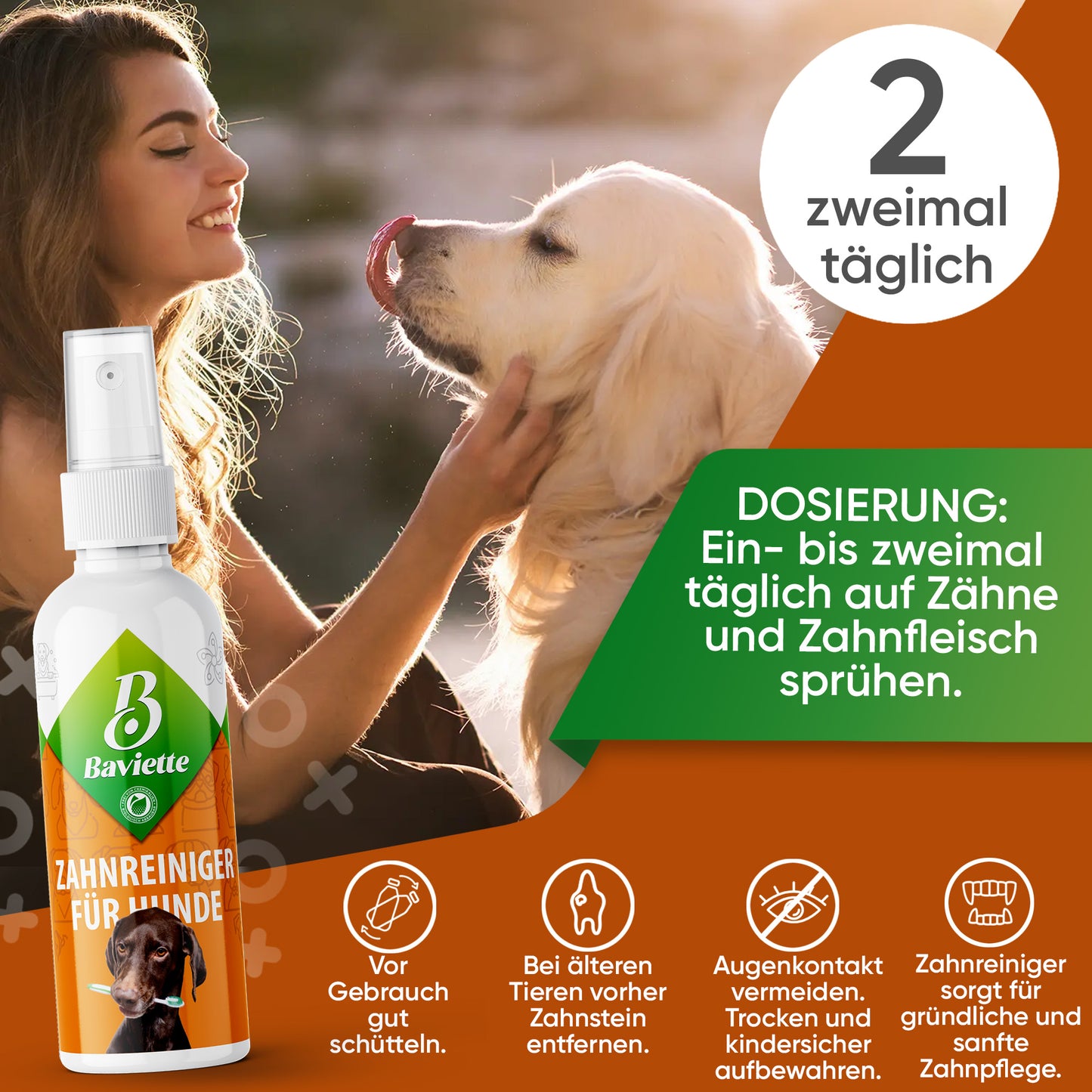 Zahnreiniger