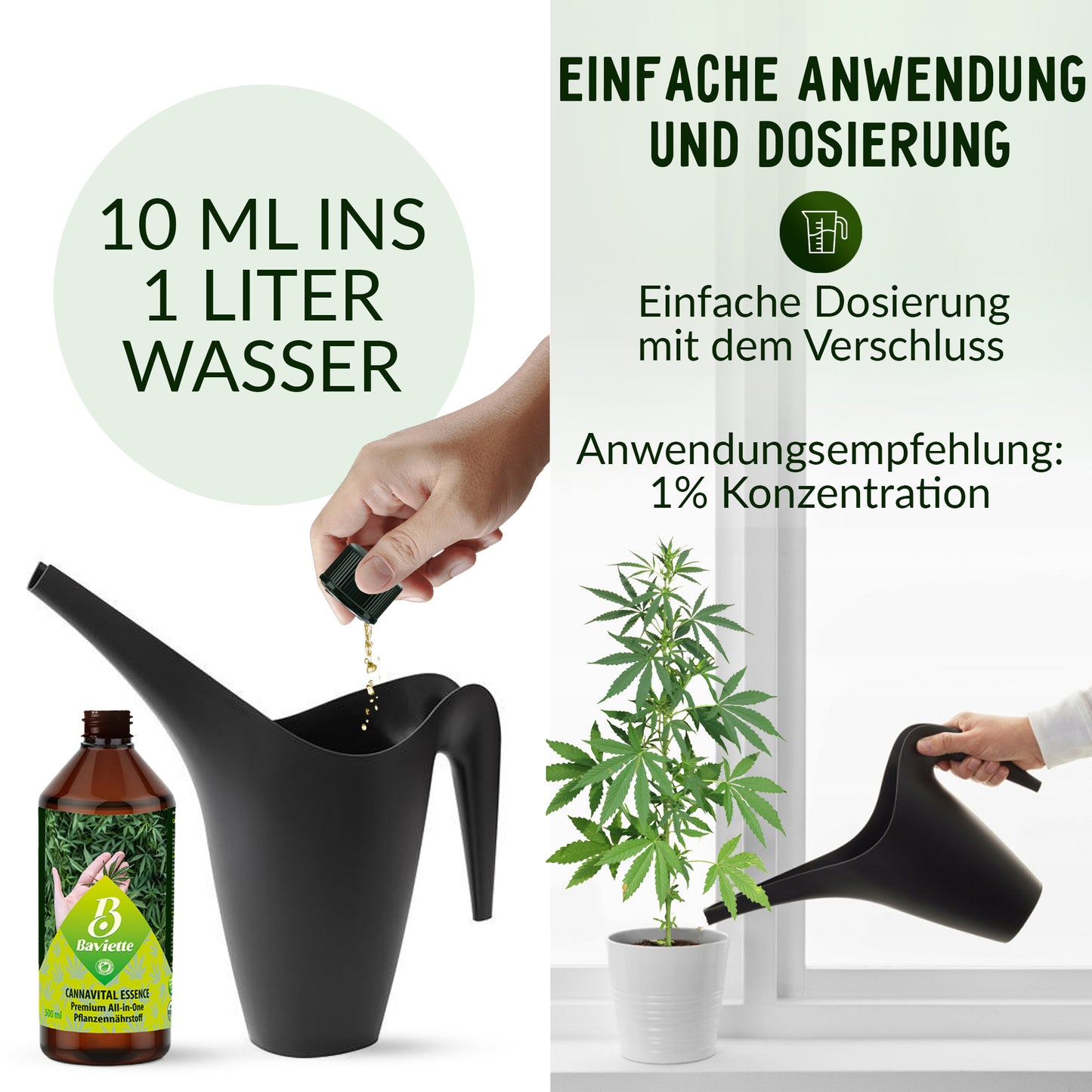 CannaVital Essence