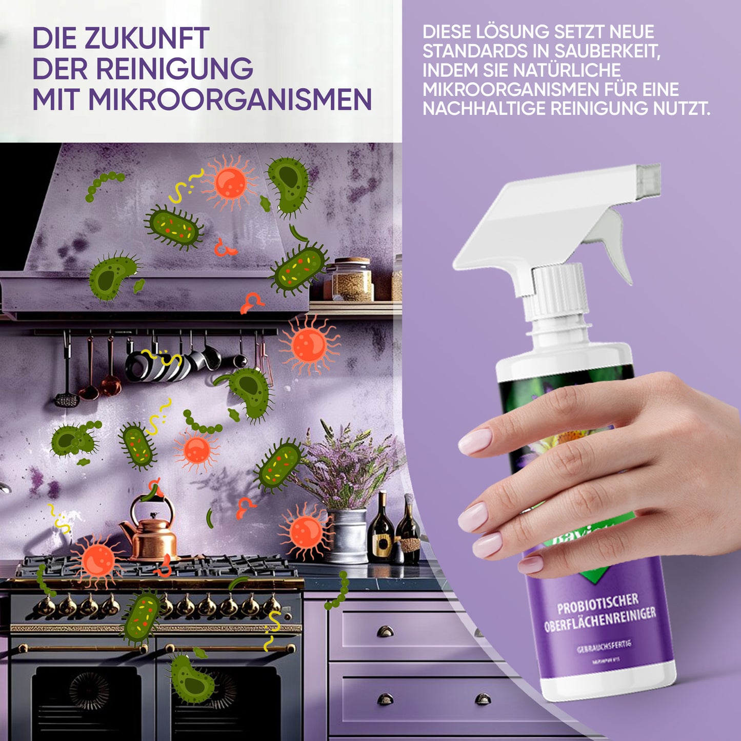 Oberflächenreiniger Konzentrat