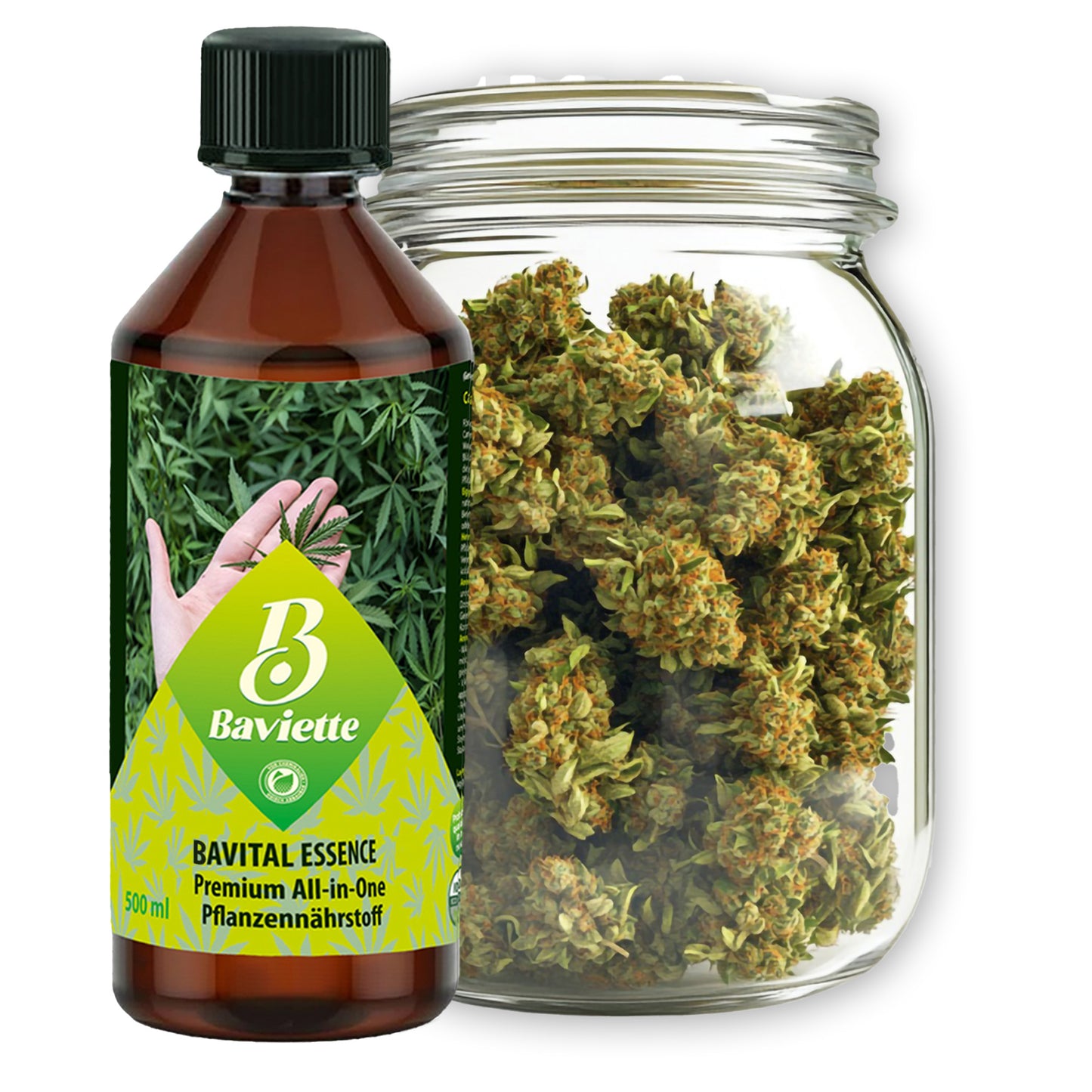 CannaVital Essence
