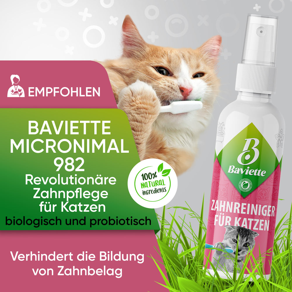 
                      
                        Dental cleaner for cats
                      
                    