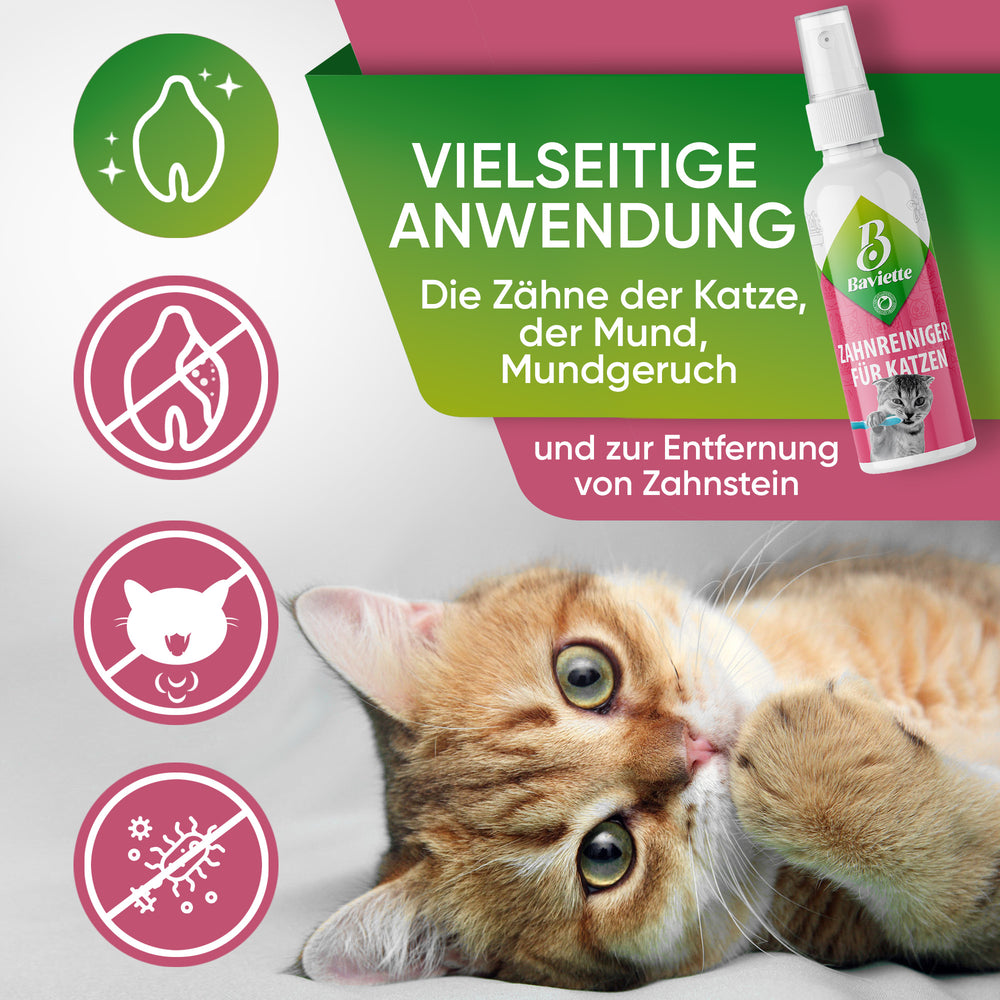 
                      
                        Dental cleaner for cats
                      
                    