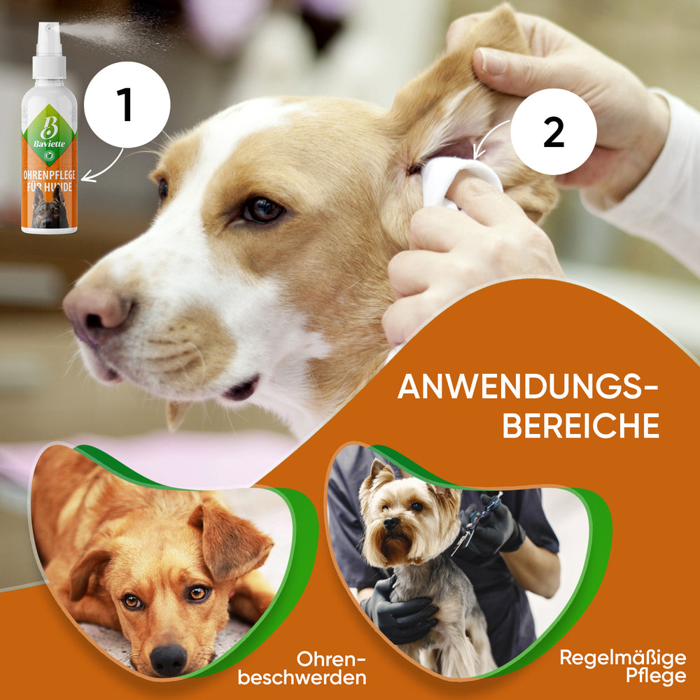 
                      
                        Soins des oreilles pour chiens
                      
                    