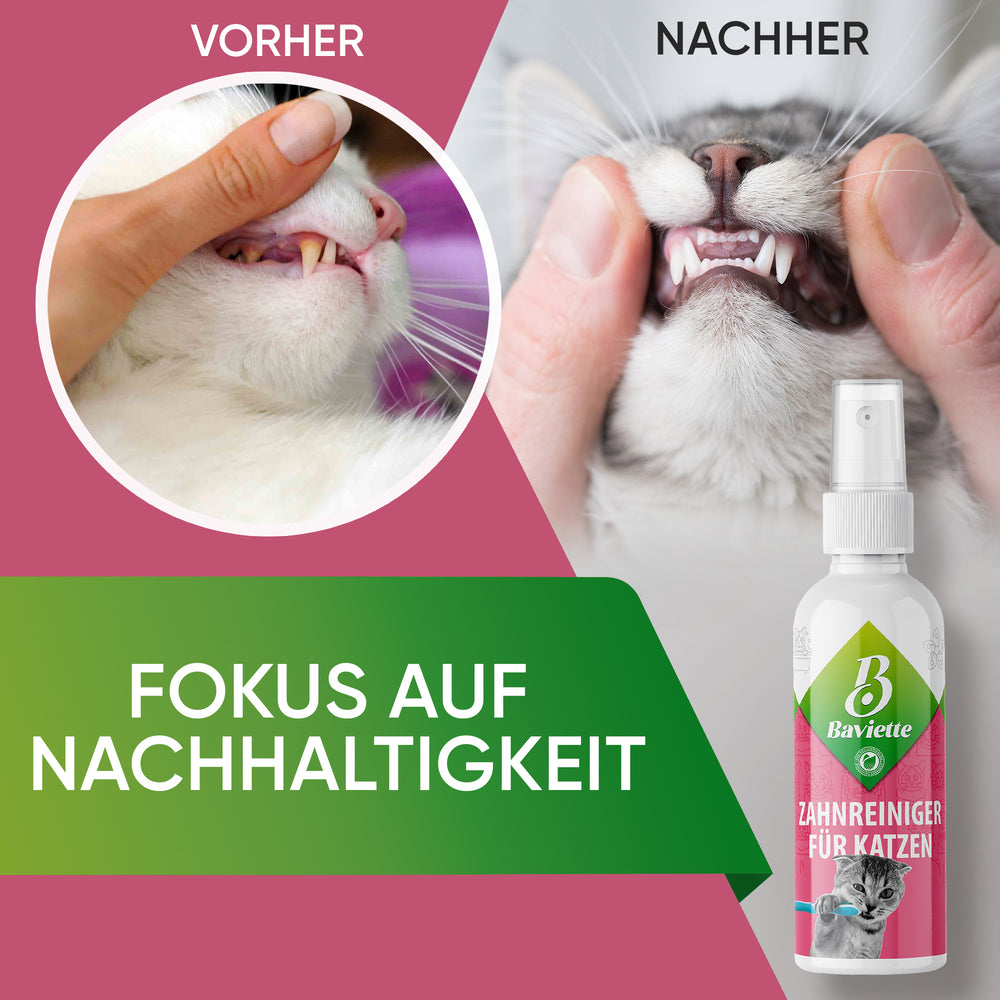 
                      
                        Dental cleaner for cats
                      
                    