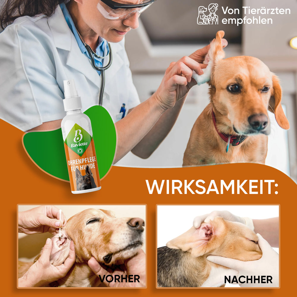 
                      
                        Ear care for dogs
                      
                    