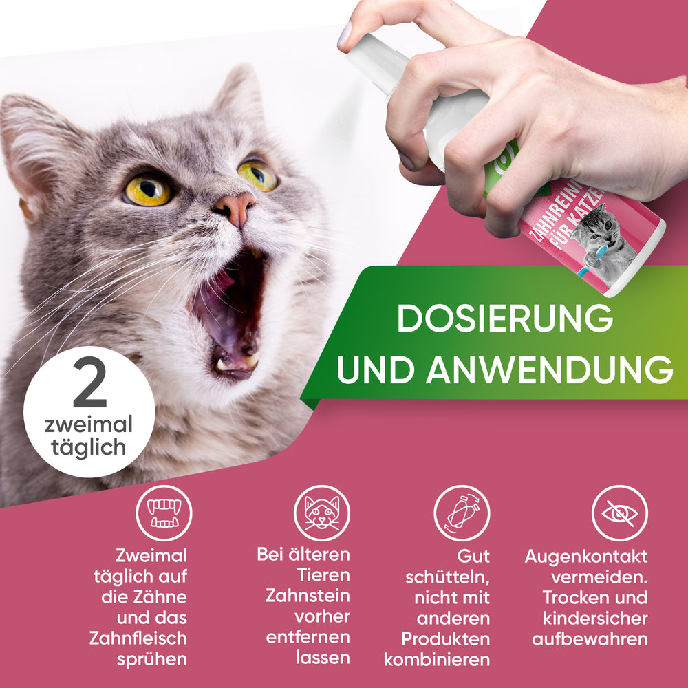 
                      
                        Dental cleaner for cats
                      
                    