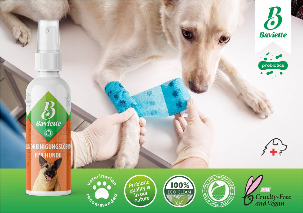 
                  
                    Wound care for dogs
                  
                