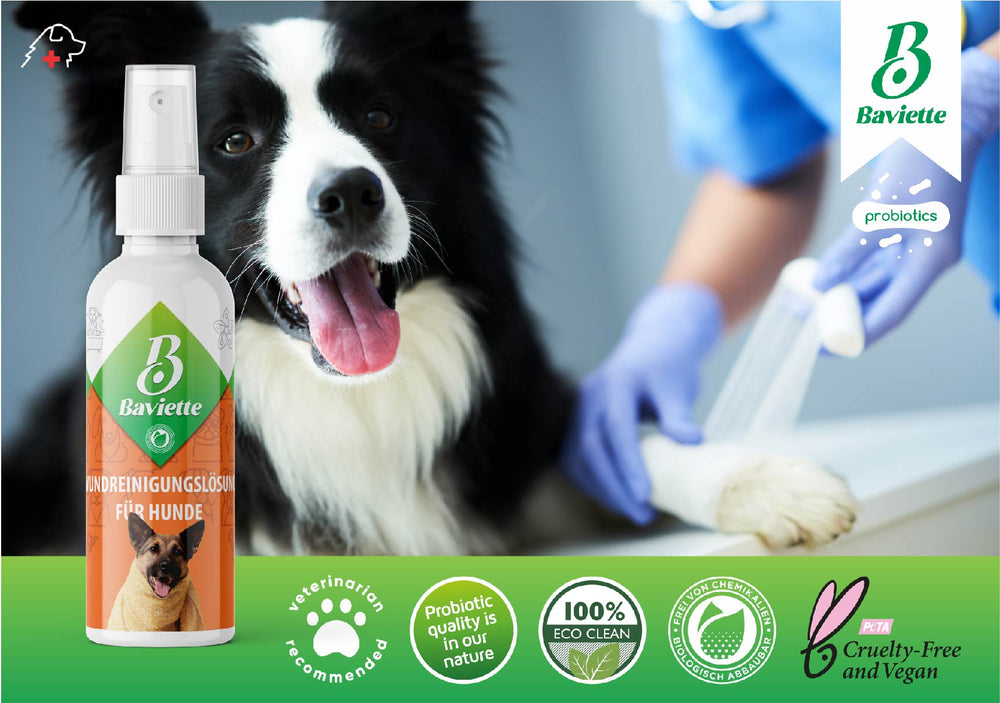 
                  
                    Wound care for dogs
                  
                