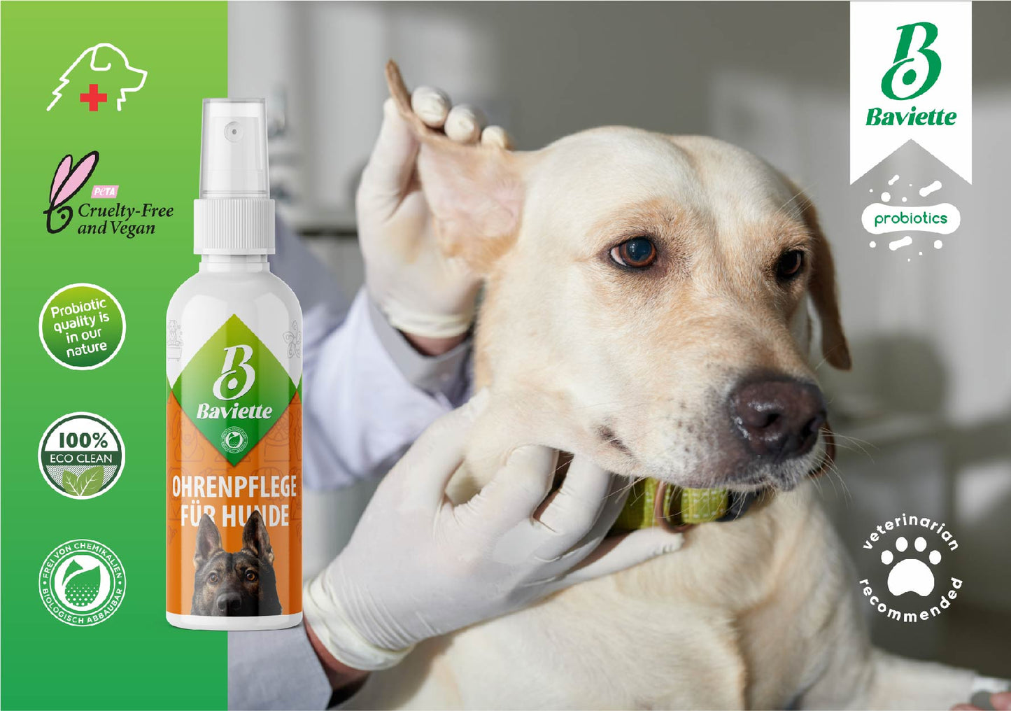 
                  
                    Ohrenpflege für Hunde
                  
                