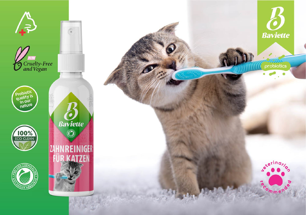 
                  
                    Nettoyant dentaire pour chats
                  
                