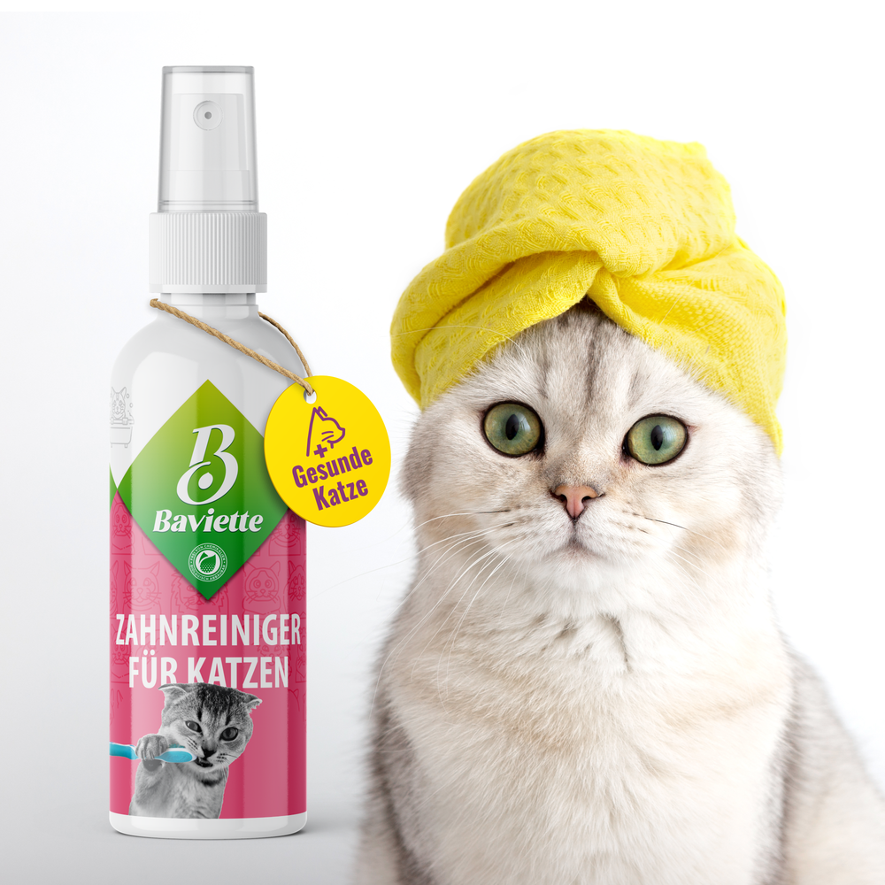 Nettoyant dentaire pour chats