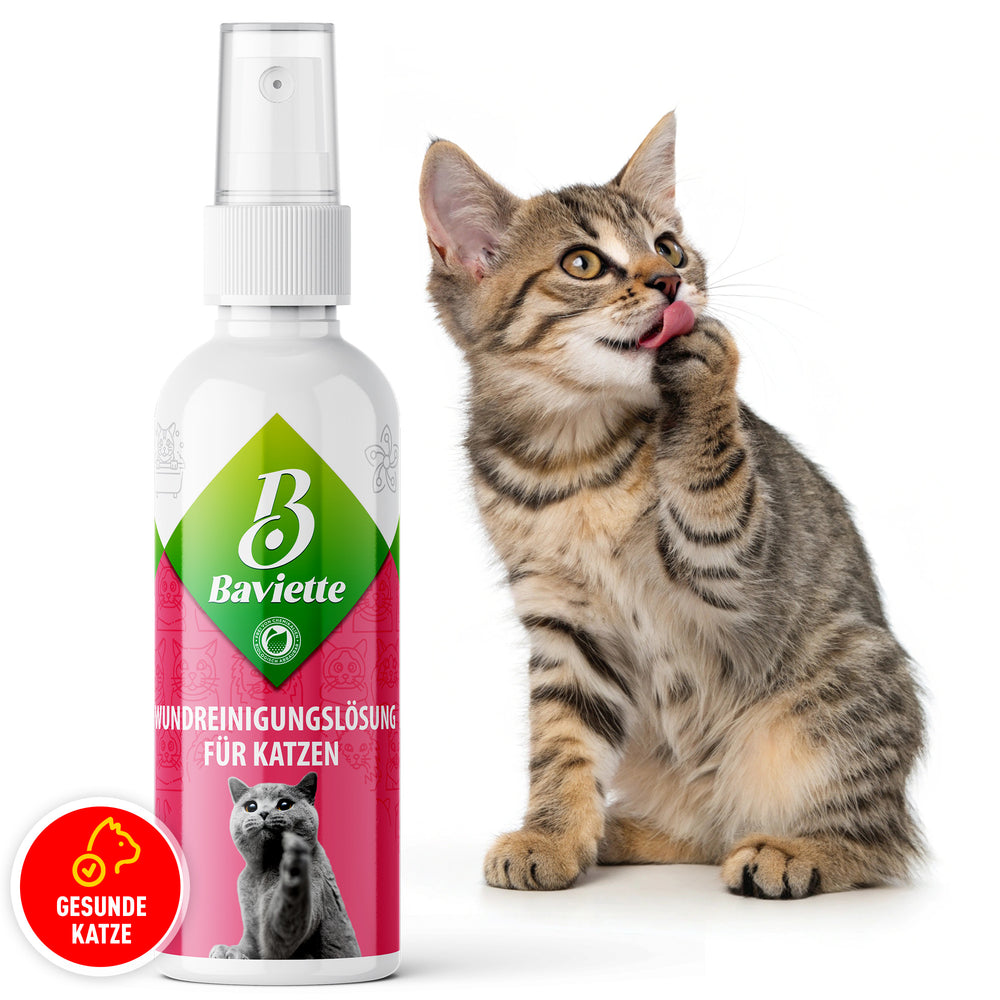 Wound care for cats