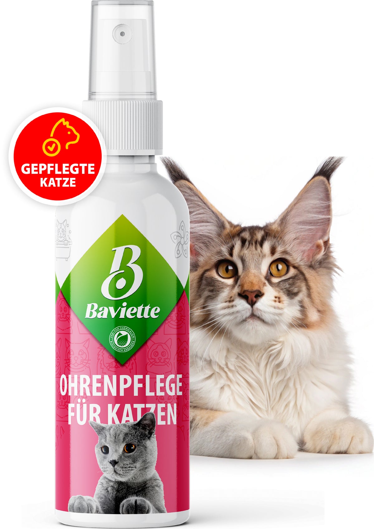 Ohrenreiniger