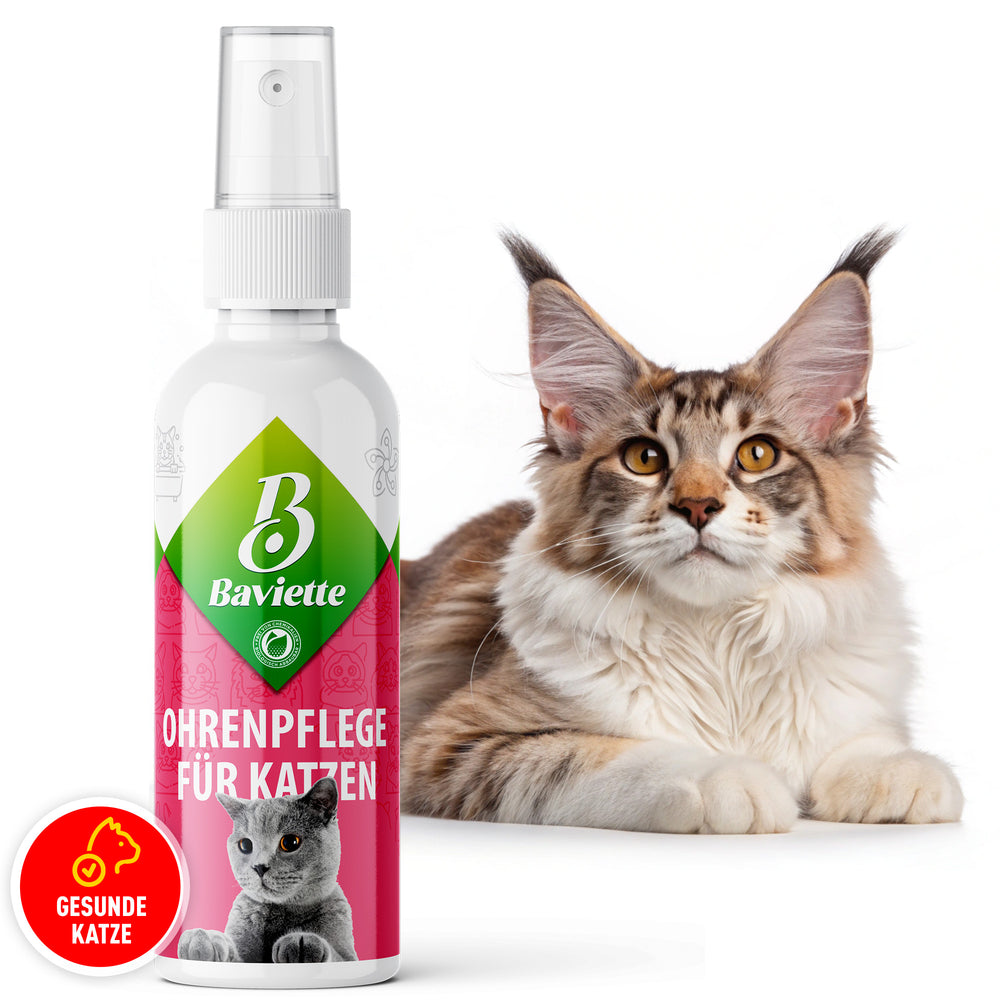 Ear care for cats