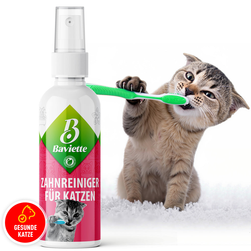 Dental cleaner for cats