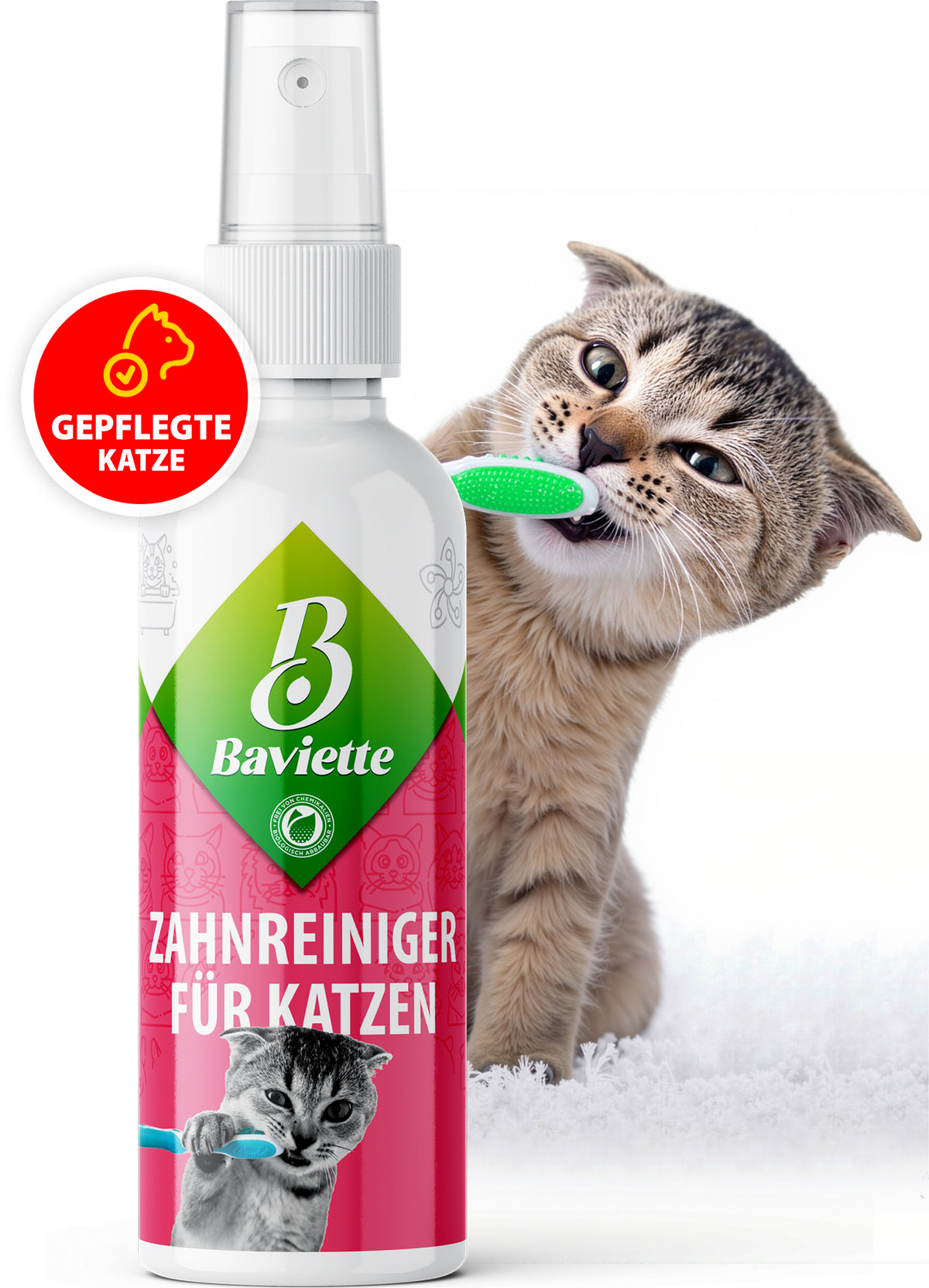 Zahnreiniger