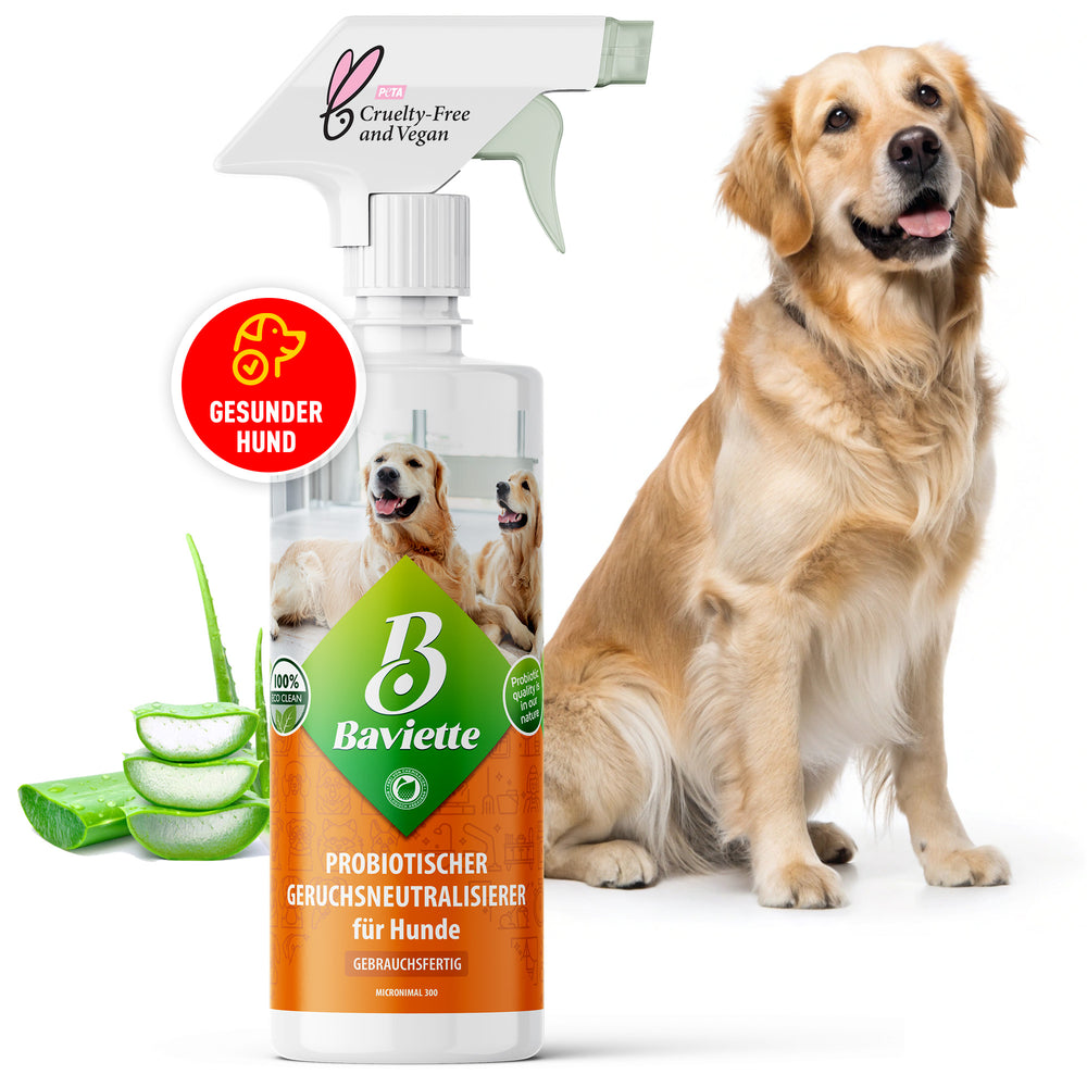 Désodorisant pour les amoureux des chiens