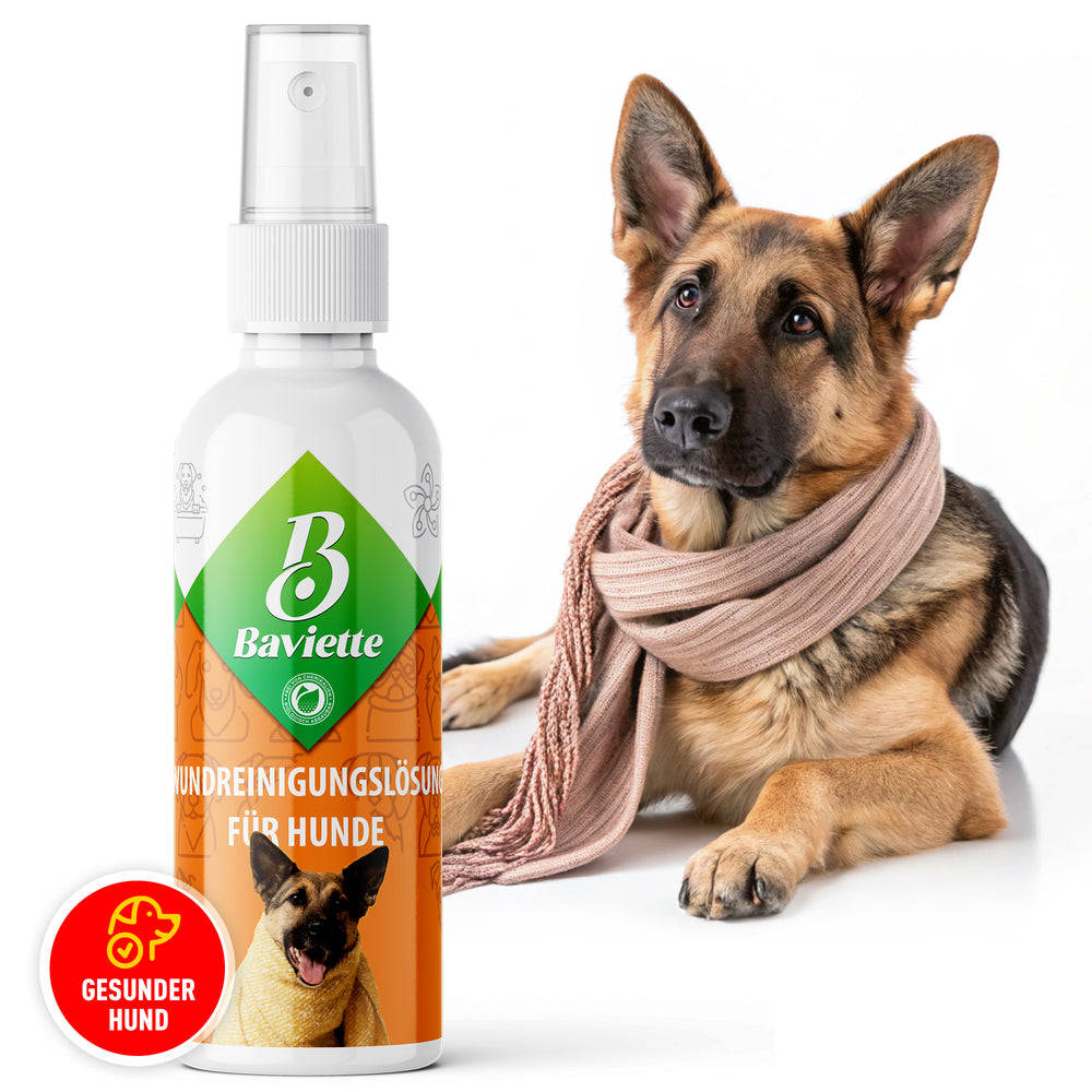 Wound care for dogs
