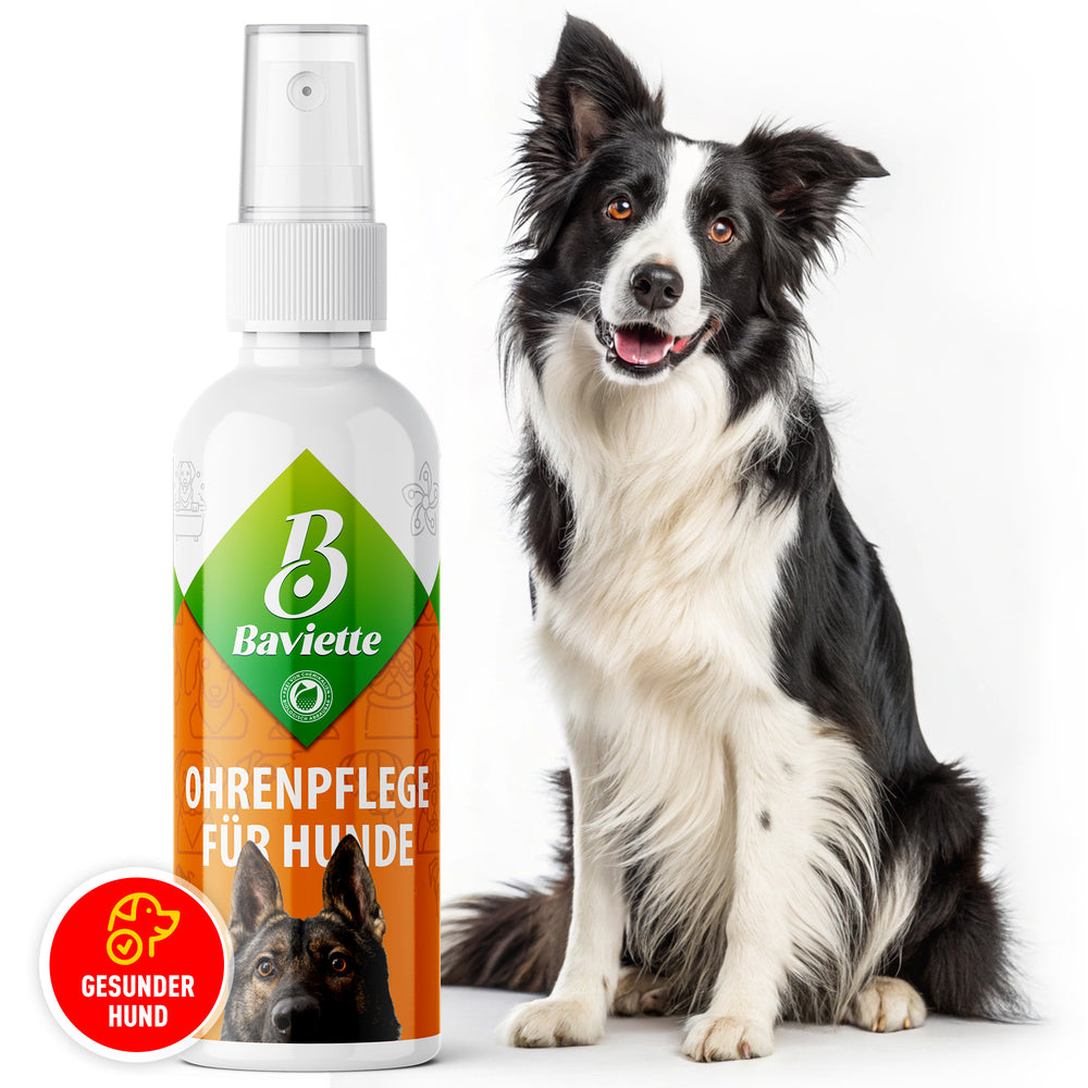 Ear care for dogs