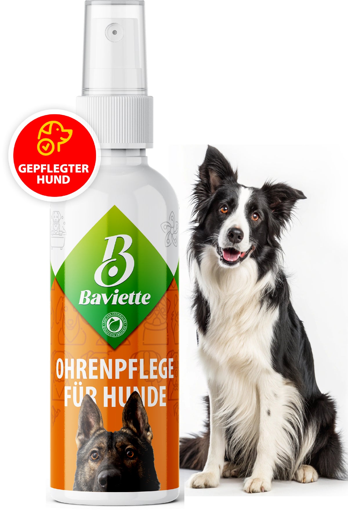Ohrenreiniger