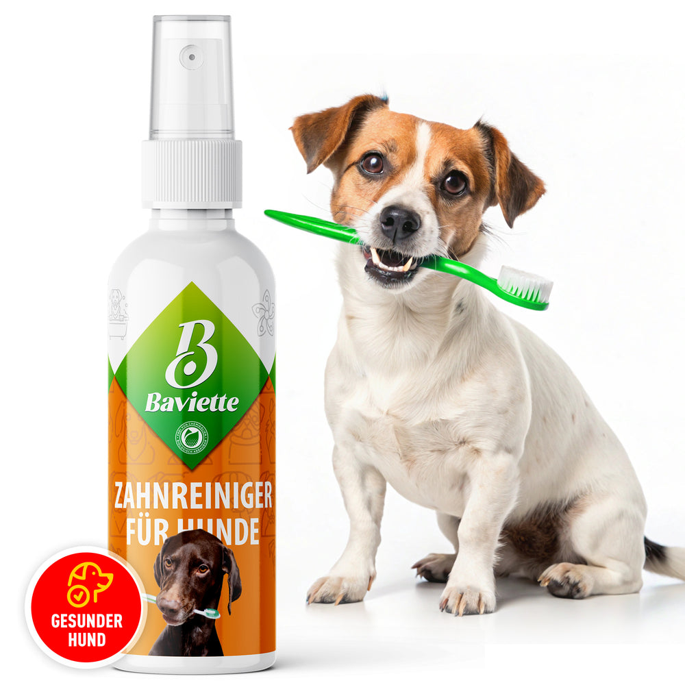 Dental care for dogs