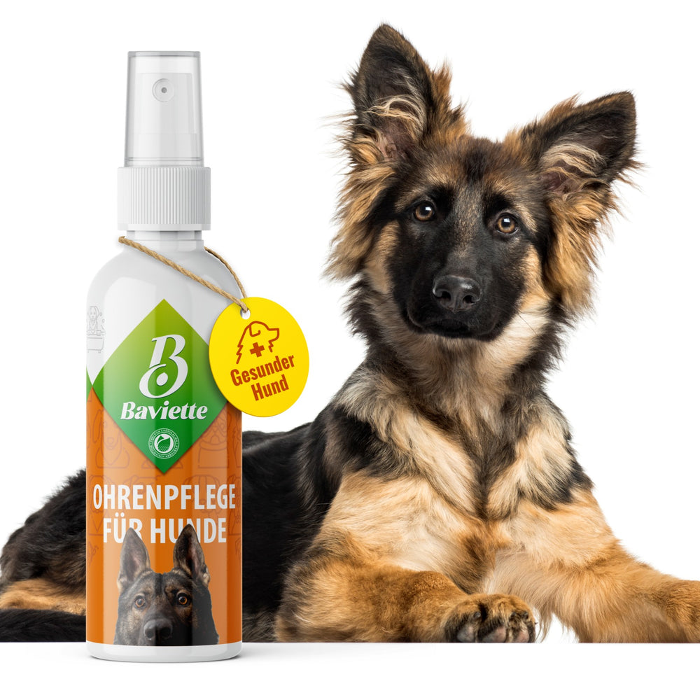 Ear care for dogs