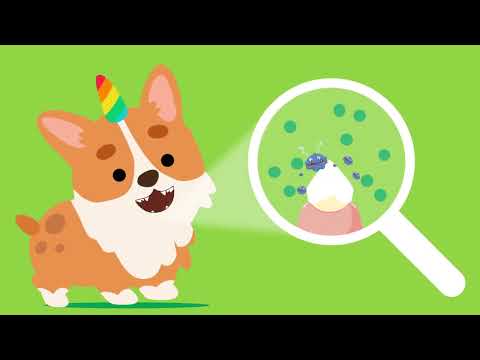 
                  
                    Load and play video in Gallery viewer, Dental care for dogs
                  
                