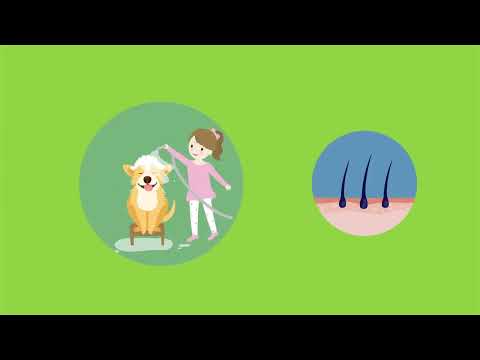
                  
                    Load and play video in Gallery viewer, Dog shampoo
                  
                