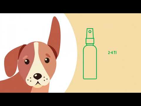 Ear care for dogs