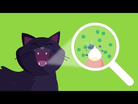 
                  
                    Video in der Galerie ansehen und abspielen, Zahnreiniger für Katzen
                  
                